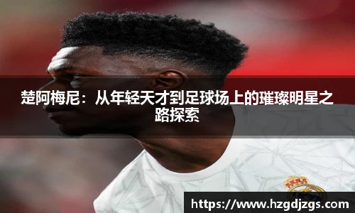 米兰体育官方网站