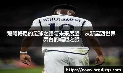 米兰体育手机下载